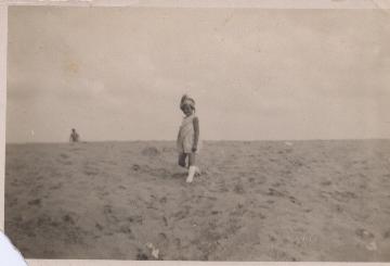 Zandland