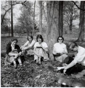 een bijzonder montessorilyceum
