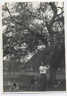 Alirio Diaz bij Tamarindeboom
