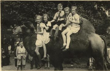 Schoolklas in Artis
