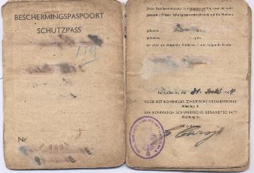 Beschermingspaspoort (Zweeds)